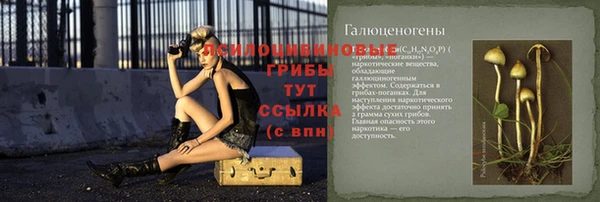 не бодяженный Аркадак