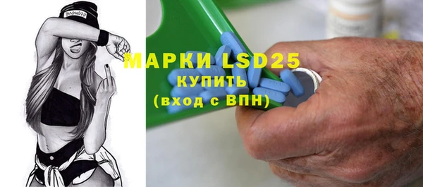 индика Балахна