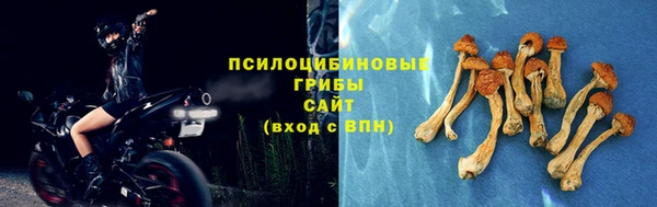 ГАЛЛЮЦИНОГЕННЫЕ ГРИБЫ Балабаново