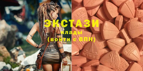 индика Балахна