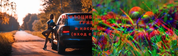 тгк Арсеньев